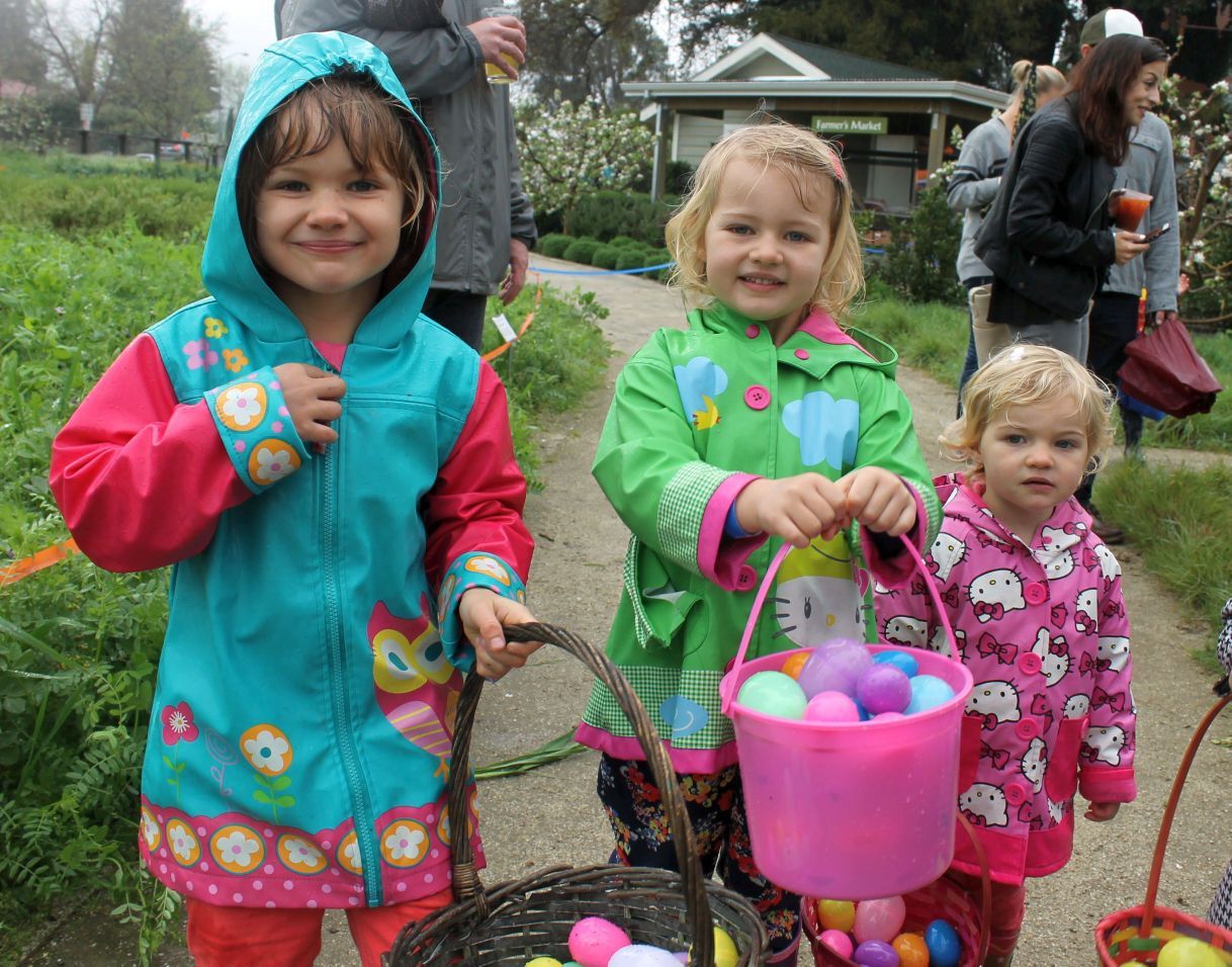 Easter Egg Hunt at Long Meadow Ranch Farmstead